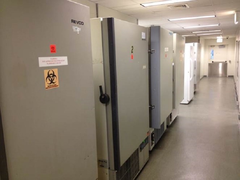 CIMCR freezer farm