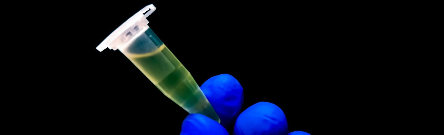 Gloved hand holding a lab sample