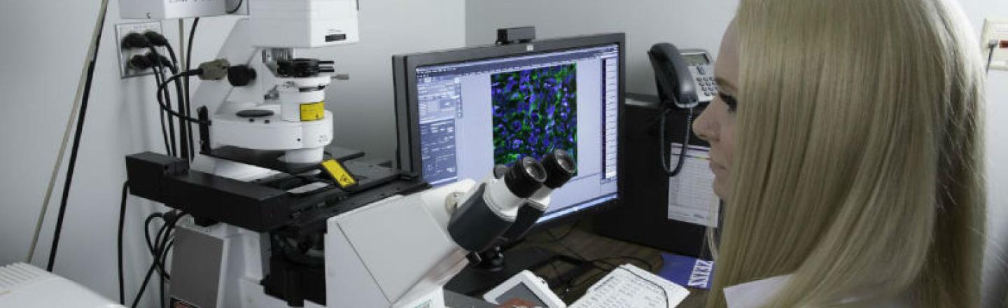 Researcher in a core laboratory